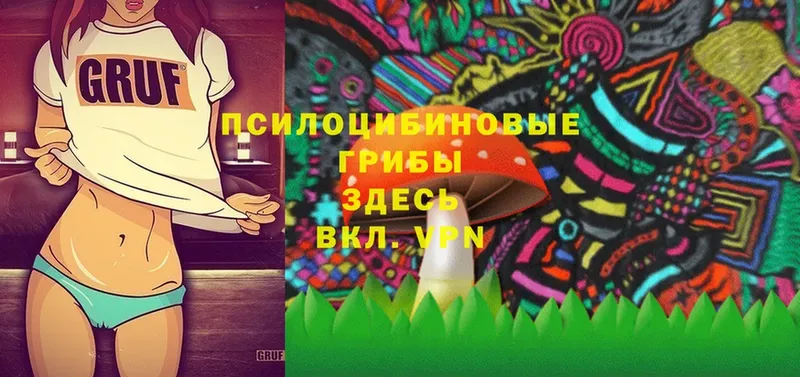 Псилоцибиновые грибы мицелий  Фролово 